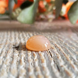 Moonstone (peach)