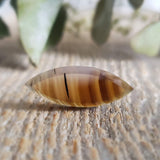 Agate du Montana, quartz