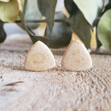 Fossilized Coral - Pair
