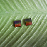 Triplet d'ammolite - Paire