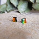 Triplet d'ammolite - Paire
