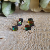 Triplet d'ammolite - Lot de 6