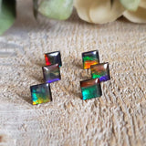 Triplet d'ammolite - Lot de 6