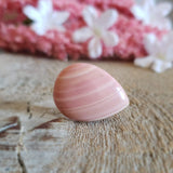 Opal (pink)