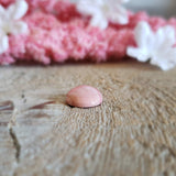 Opal (pink)
