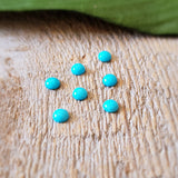 Turquoise - Lot de 7