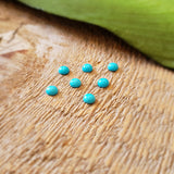 Turquoise - Lot de 7