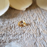 Imperial Topaz - Pair
