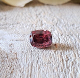 Zircon (rose)
