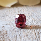 Zircon (rose)