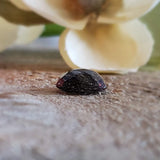 Quartz à inclusions de tourmaline