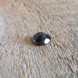 Quartz à inclusions de tourmaline