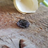 Quartz à inclusions de tourmaline