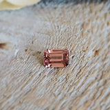 Zircon (rose)