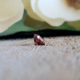 Zircon (rose)