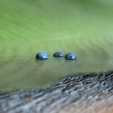 Star Sapphire - Parcel of 3