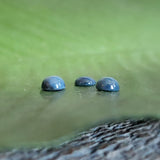 Star Sapphire - Parcel of 3