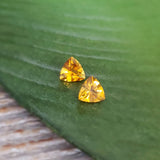 Citrine, quartz - Paire