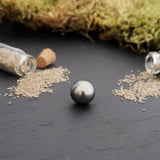 Perle de tahiti, semi-ronde