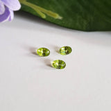 Peridot - Parcel of 3