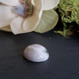 Jaspe océan, quartz