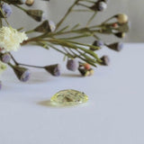 Rosecut sapphire (yellow)