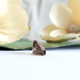 Smoky quartz
