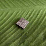 Meteorite, Muonionalusta