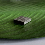 Meteorite, Muonionalusta