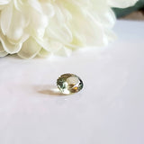 Montana Sapphire - Bicolour