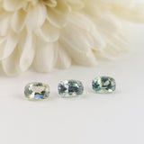 Montana sapphire - parcel of 3