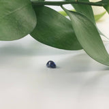 Iolite
