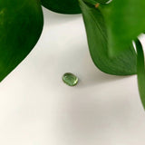 Tourmaline (Green)