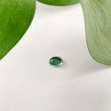 Tourmaline (Blue-Green)