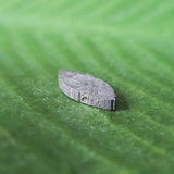 Meteorite, Muonionalusta