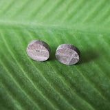 Meteorite, Muonionalusta - Pair