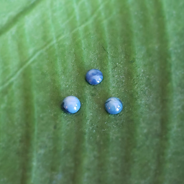 Star Sapphire - Parcel of 3