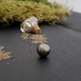Perle de tahiti, semi-ronde